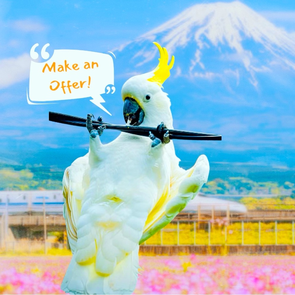 Make an offer on any listing